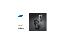 Scarica il manuale del Samsung E250 - Schede