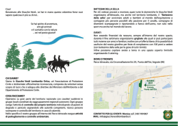 Scarica il volantino