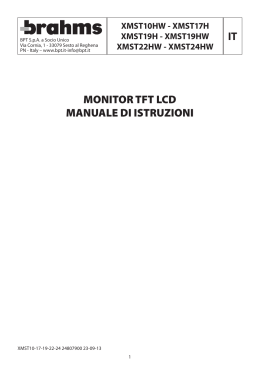 it monitor tft lcd manuale di istruzioni