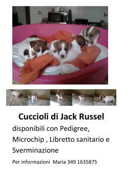 Cuccioli di Jack Russel - cralospedalierovoghera