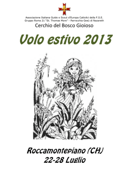 Volo estivo 2013