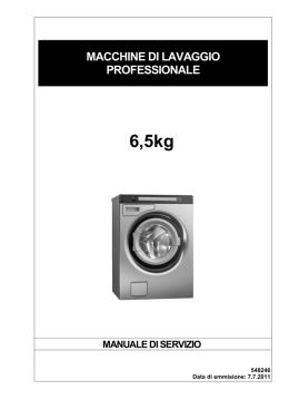 macchine di lavaggio professionale