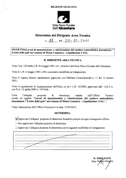 dell`Alcantara Determina del Dirigente Area Tecnica