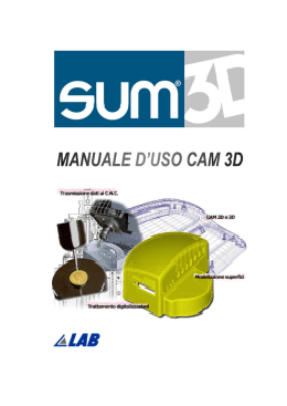 Manuale SUM3D