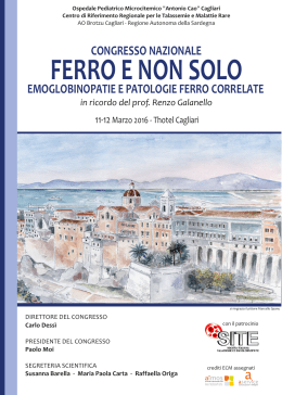 16-03-11 libretto FERRO E NON SOLO 11