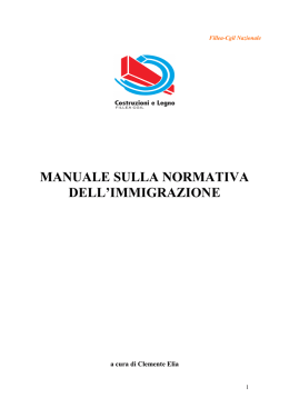 Il testo del manuale sulla normativa dell`immigrazione
