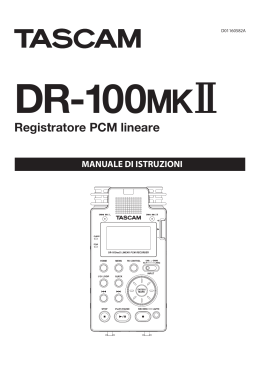 Tascam DR-100MKII Manuale