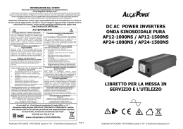 dc ac power inverters onda sinosoidale pura ap12