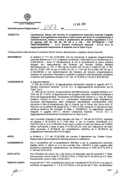 Determinazione del 19 Giugno 2013, N.1319 [file]