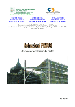 Istruzioni per la redazione del PiMUS 16-06-06