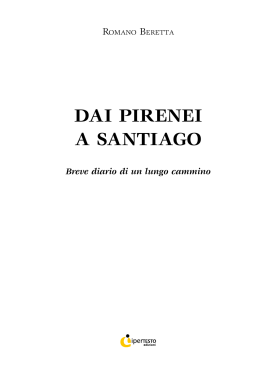 dai pirenei a santiago