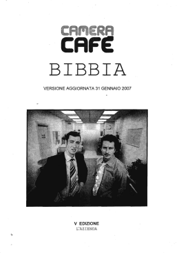 versione aggiornata 31 gennaio 2007 v edizione