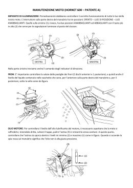 manutenzione moto (hornet 600 – patente a)