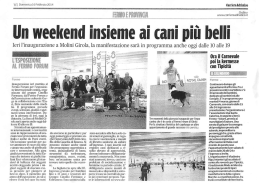 In weekend insieme ai cani pi&ugrave; belli