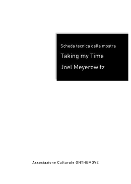 Taking my Time Joel Meyerowitz