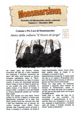 Numero 3 - Comune di Montemarzino