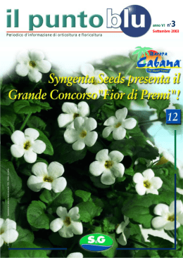 3137 Il Punto Blu n 02-03