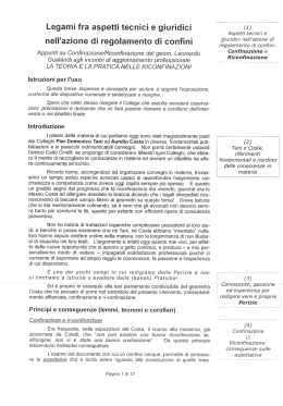 Legami tra aspetti tecnici e giuridici nell`azione di regolamento di