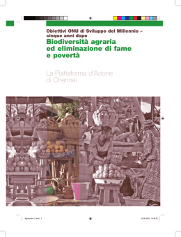 La Pattaforma d`Azione di Chennai - Global Facilitation Unit for