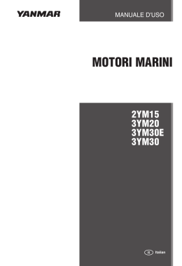 motori marini