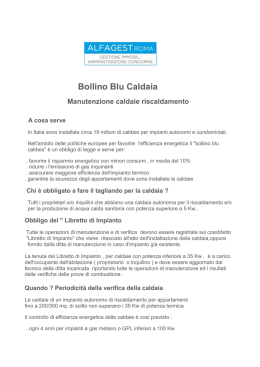 Visualizza l`allegato dell`articolo