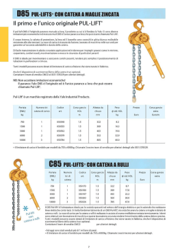 Paranchi pneumatici a catena e paranchi manuali a catena