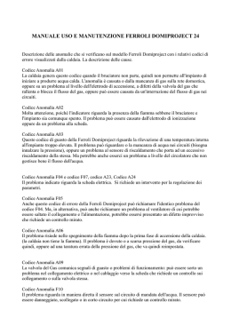 MANUALE USO E MANUTENZIONE FERROLI DOMIPROJECT 24