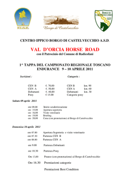 val d`orcia horse road