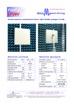 FlatPanel LP28V - ElettroMagnetic Services