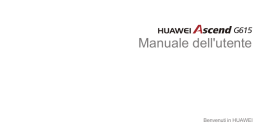 Manuale dell`utente