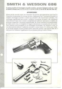 Manutenzione SW-686