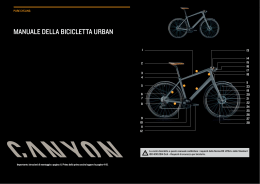 manuale in pdf