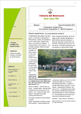 Scaricare - File PDF