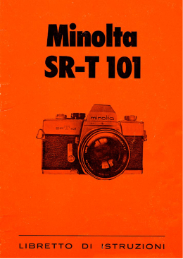 Minoliu R-`I` IOI - Massimo Scotti nel Web