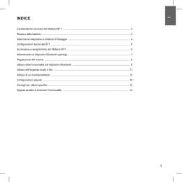 Manuale d`istruzioni