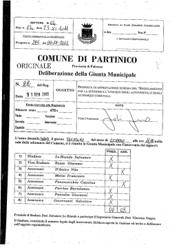 SETfORE_` N. - Comune di Partinico
