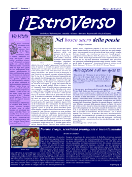 l`EstroVerso n.2 2012