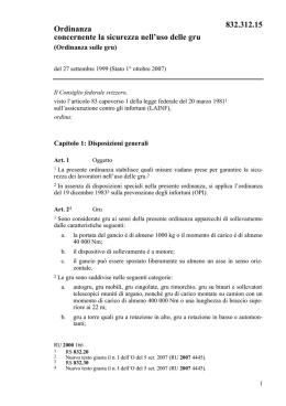 Ordinanza concernente la sicurezza nell`uso delle gru