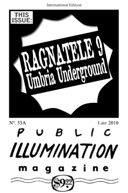 PIM Public Illumination Magazine The 19 issues