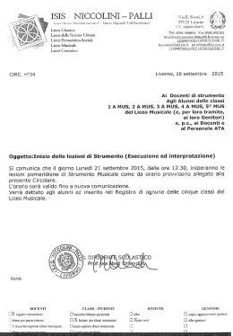 IS&Igrave;S NICCOLINI PALLE va E. M 6