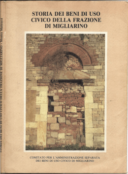Storia dei beni di uso civico di Migliarino