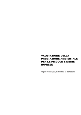 Valutazione della prestazione ambientale per le piccole e