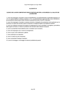 ALLEGATO XI ELENCO DEI LAVORI COMPORTANTI RISCHI