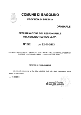 LLPP determinazione n. 242 del 22.11.2013