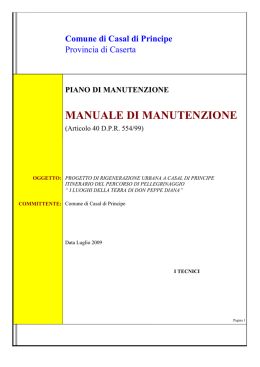manuale di manutenzione - Comune di Casal di Principe