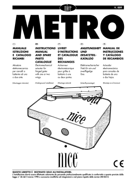 Nice Metro 09