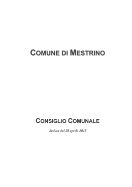Verbale seduta di Consiglio comunale del 28