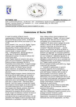 Commissione di Bacino 2008