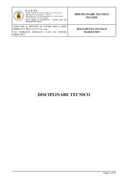 Disciplinare tecnico - Citt&agrave; Metropolitana di Napoli