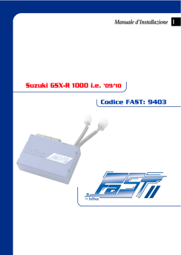 Suzuki GSX-R 1000 ie `09/`10